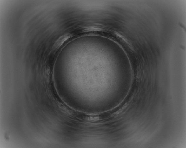X0000093441313200710121325