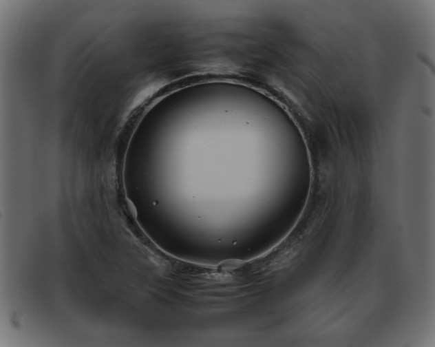 X0000093441315200710121325