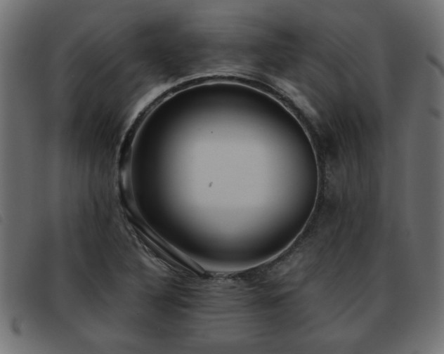 X0000093441316200710121325