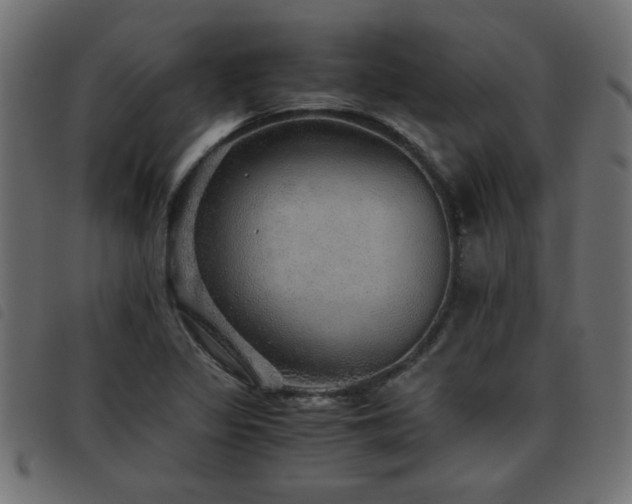 X0000093441317200710121325