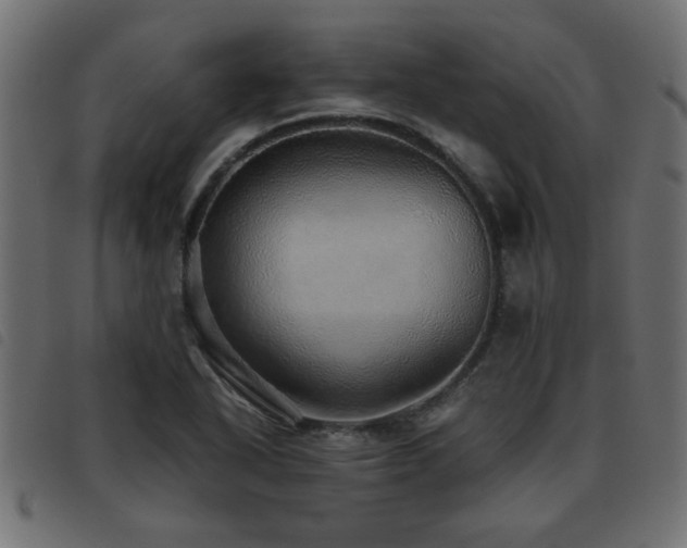 X0000093441318200710121325