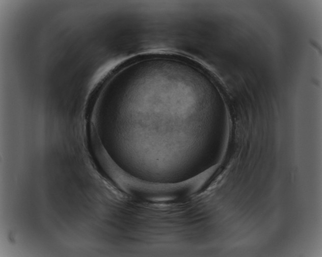 X0000093441319200710121325