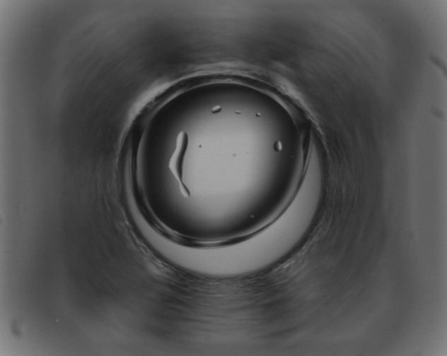 X0000093441320200710121325