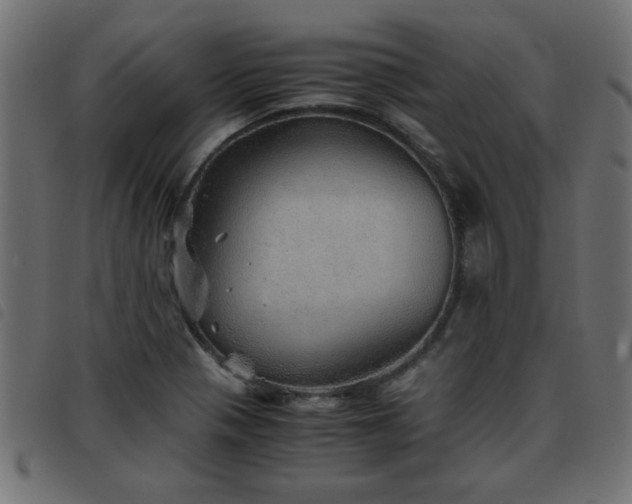X0000093441321200710121325