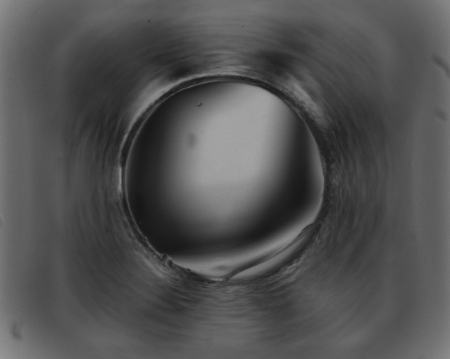 X0000093441324200710121325
