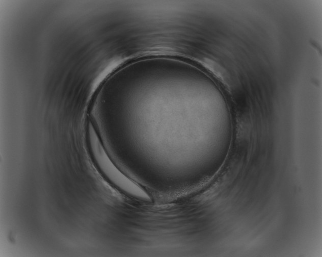 X0000093441325200710121325