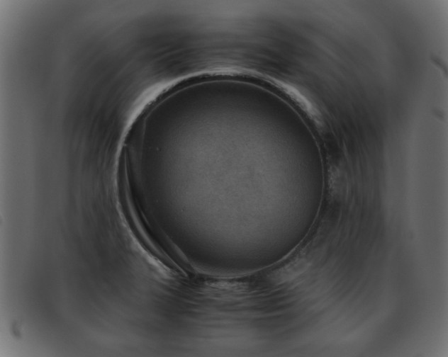 X0000093441327200710121325