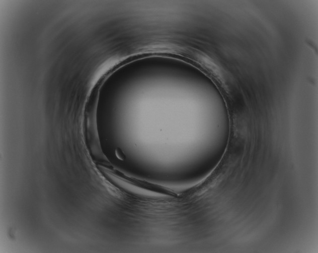 X0000093441328200710121325