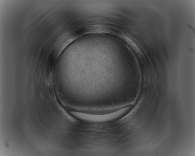 X0000093441329200710121325