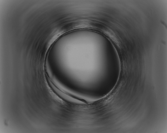 X0000093441330200710121325