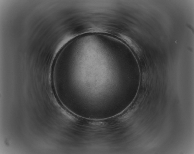 X0000093441331200710121325