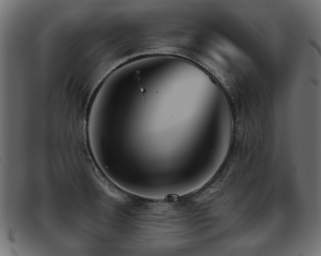 X0000093441332200710121325