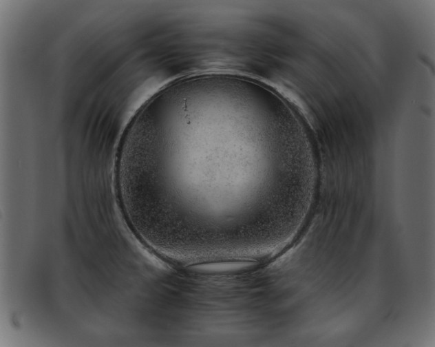 X0000093441333200710121325