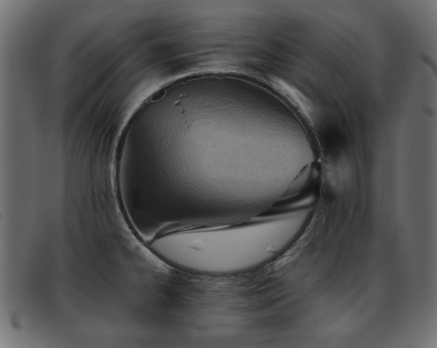 X0000093441334200710121325
