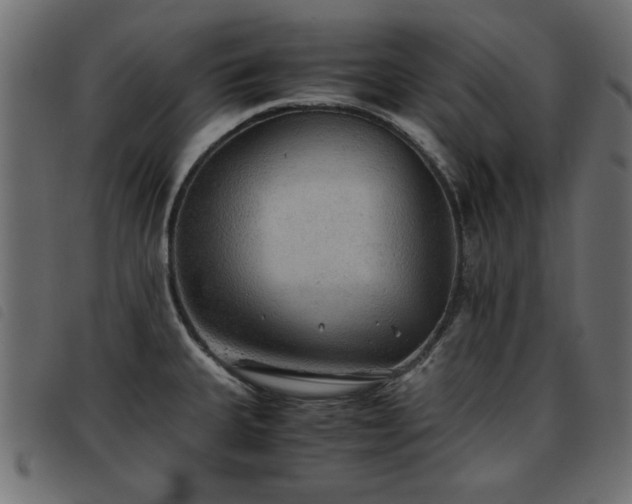 X0000093441335200710121325