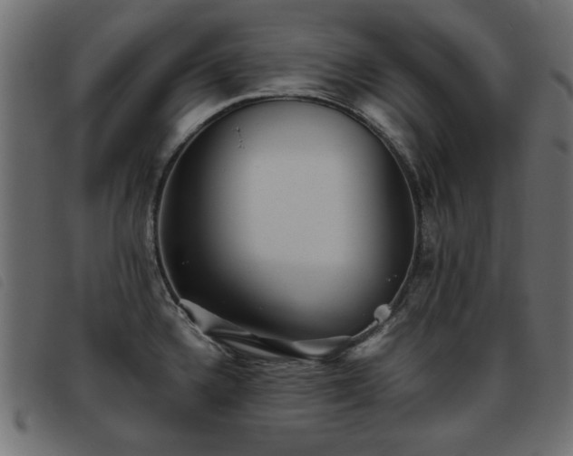 X0000093441336200710121325