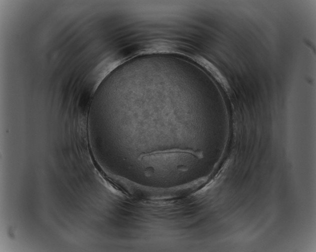X0000093441337200710121325