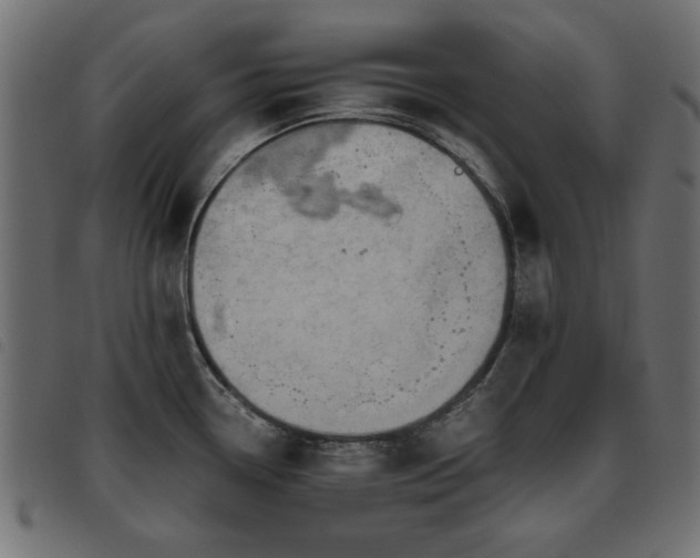 X0000093441338200710121325