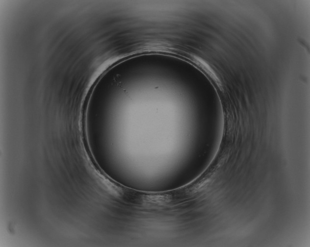 X0000093441339200710121325