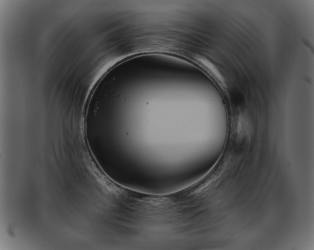 X0000093441340200710121325