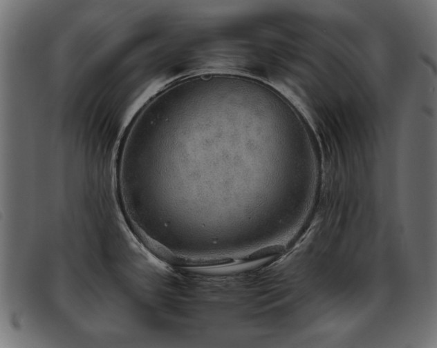 X0000093441341200710121325