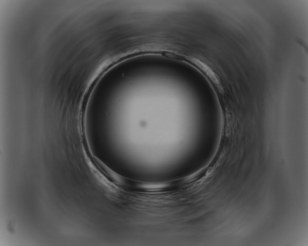 X0000093441342200710121325