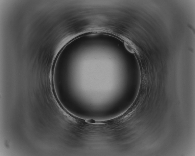 X0000093441343200710121325