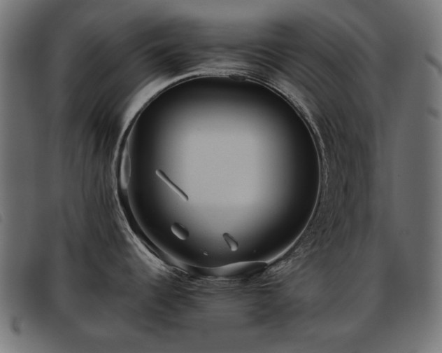 X0000093441344200710121325