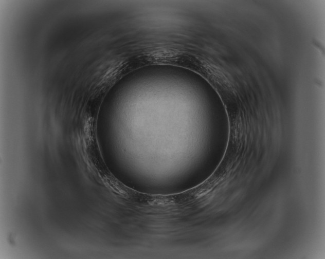X0000093441346200710121324