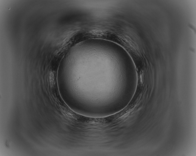 X0000093441347200710121324