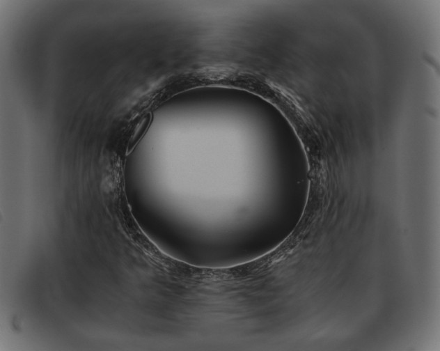 X0000093441349200710121324