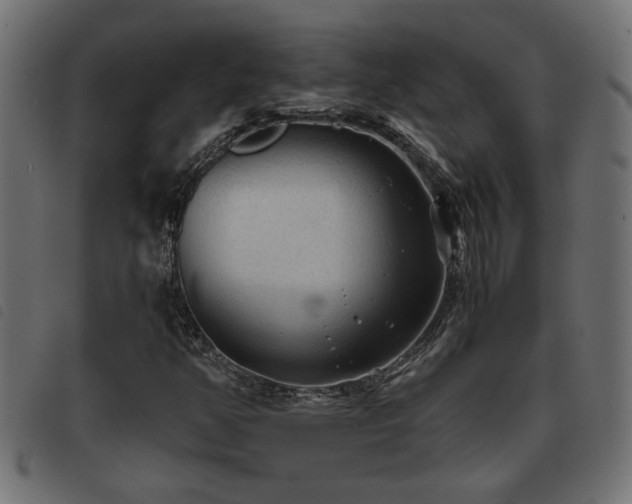 X0000093441350200710121324