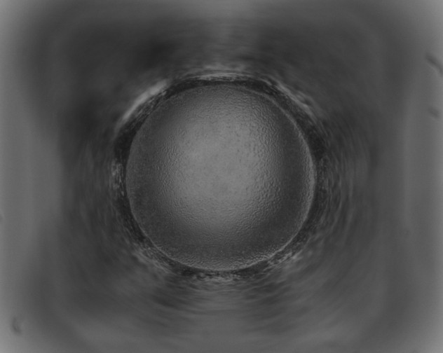X0000093441351200710121324