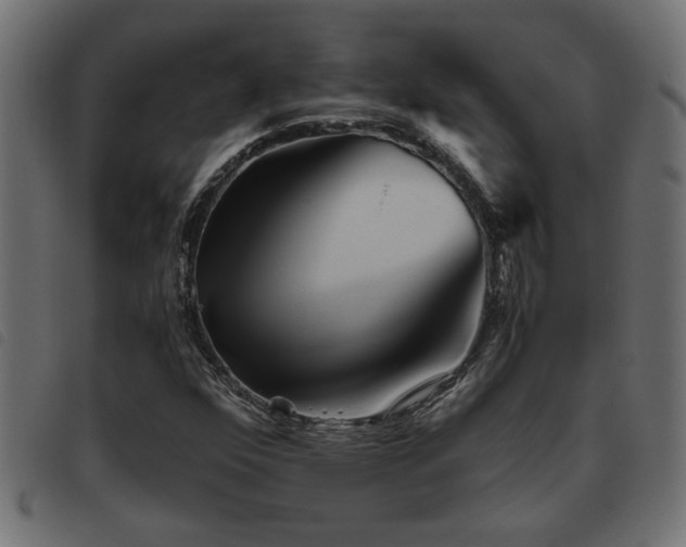 X0000093441352200710121324