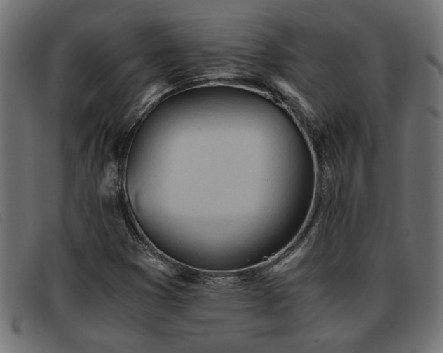 X0000093441353200710121324