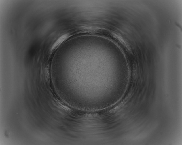 X0000093441354200710121324