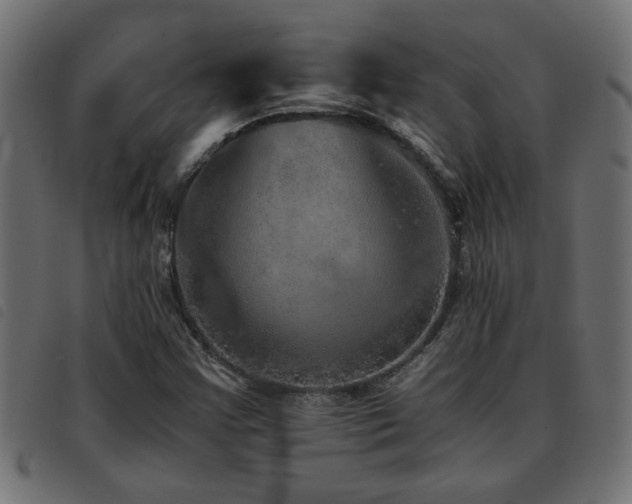 X0000093441355200710121324