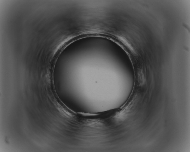 X0000093441356200710121324