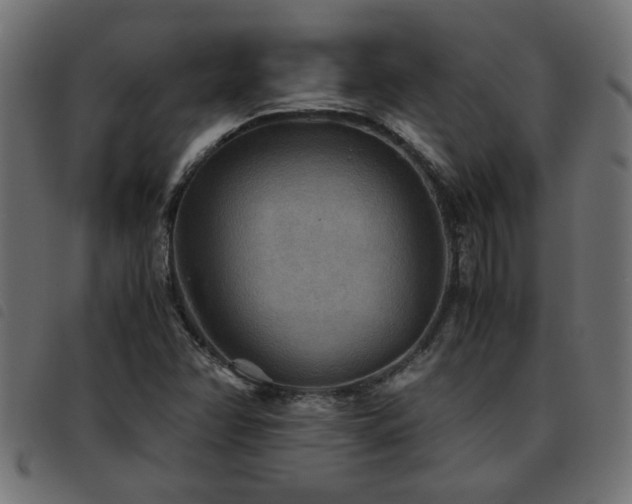X0000093441358200710121324