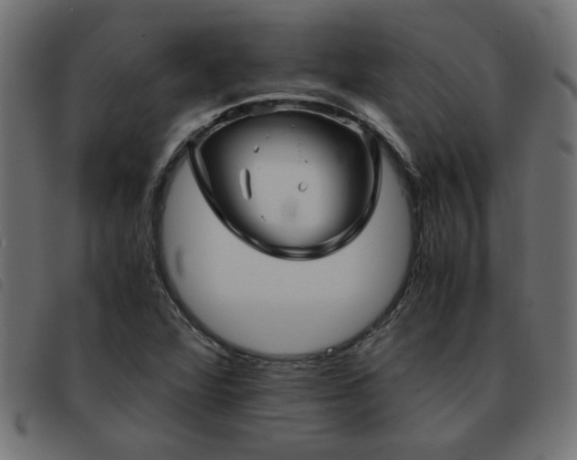 X0000093441360200710121324
