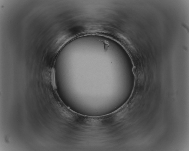 X0000093441361200710121324
