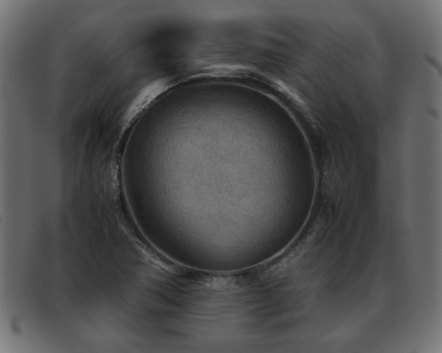 X0000093441362200710121324