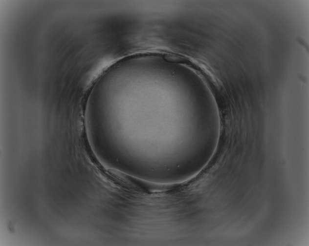 X0000093441363200710121324