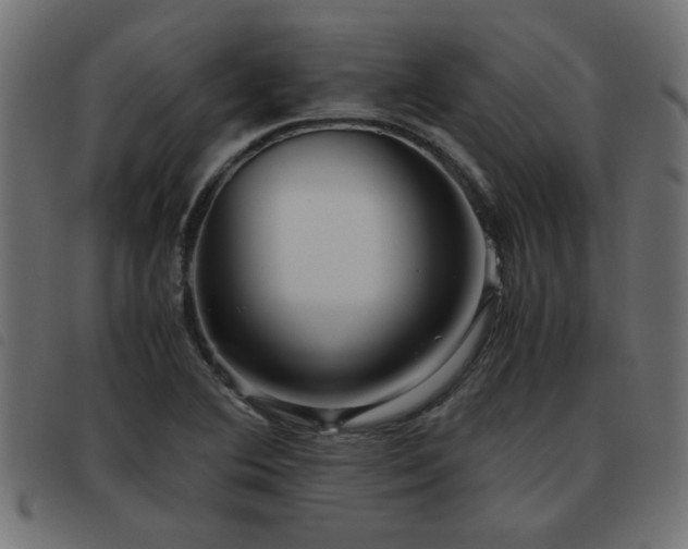 X0000093441364200710121324