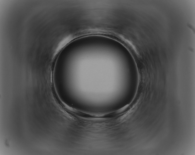 X0000093441365200710121324
