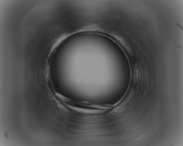 X0000093441366200710121324