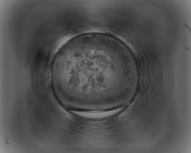 X0000093441367200710121324