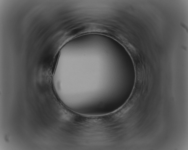 X0000093441369200710121324