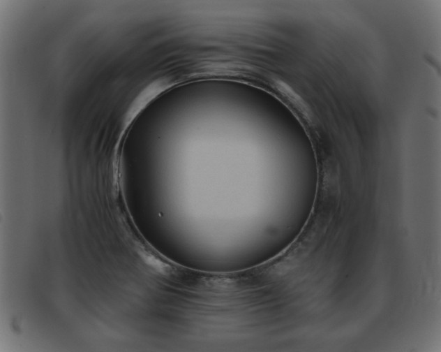 X0000093441370200710121324