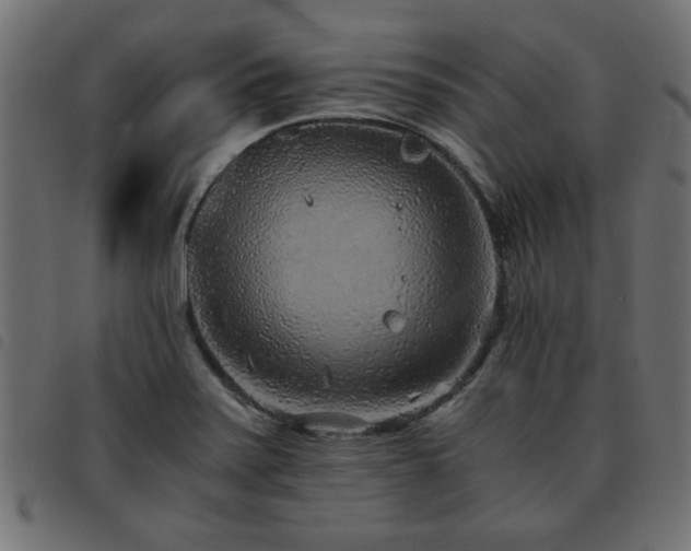 X0000093441371200710121324